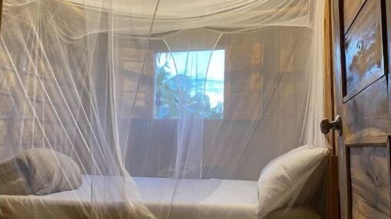 Photo of Bedroom in Samana