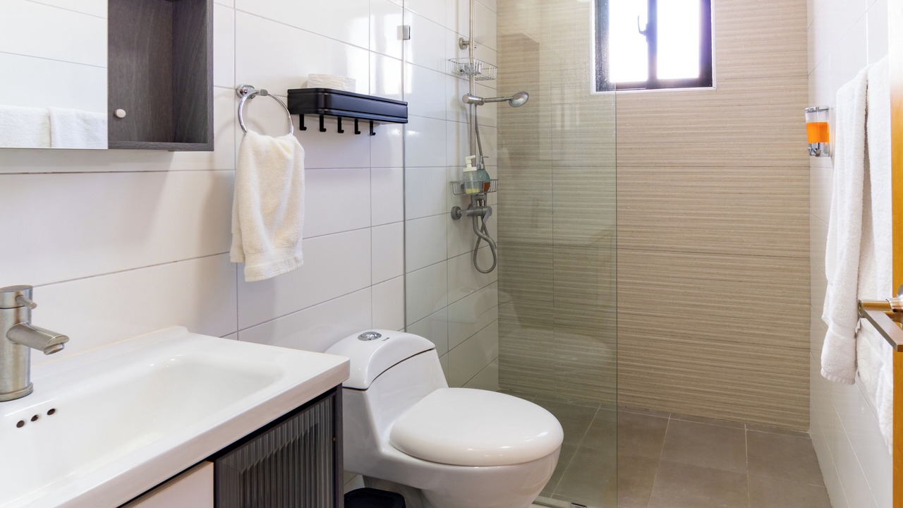 Photo of Bathroom in Evaristo Morales