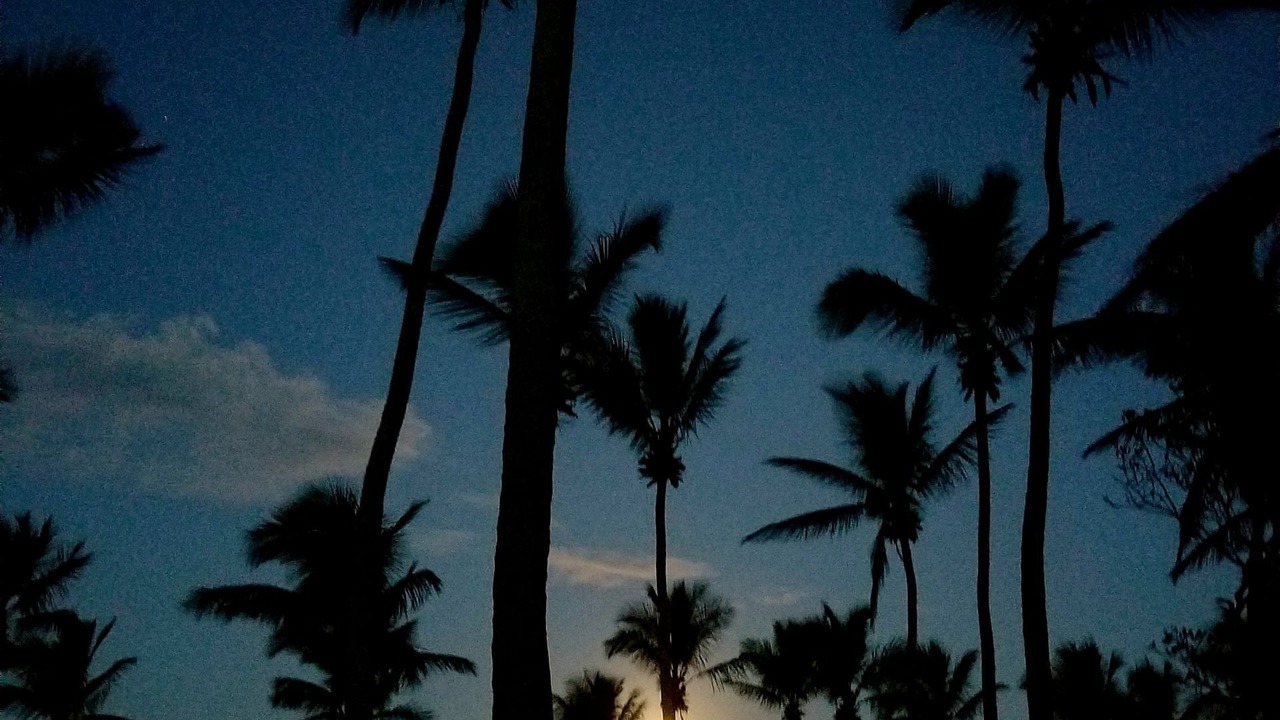 Photo of Outdoor in Cabrera