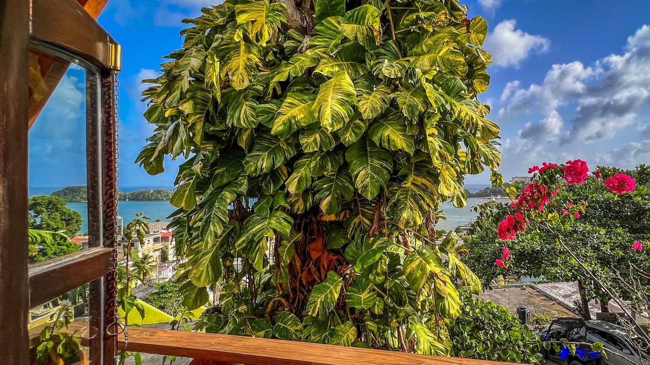 Photo of Outdoor in Barrio La Fortaleza Vieja
