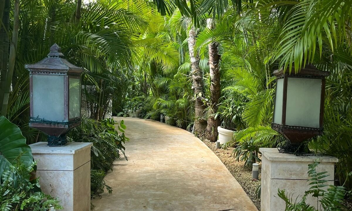 Photo of Outdoor in La Romana