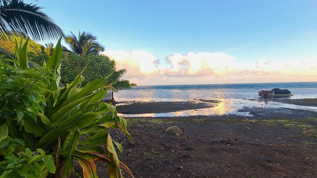 Photo of Others in Tahiti