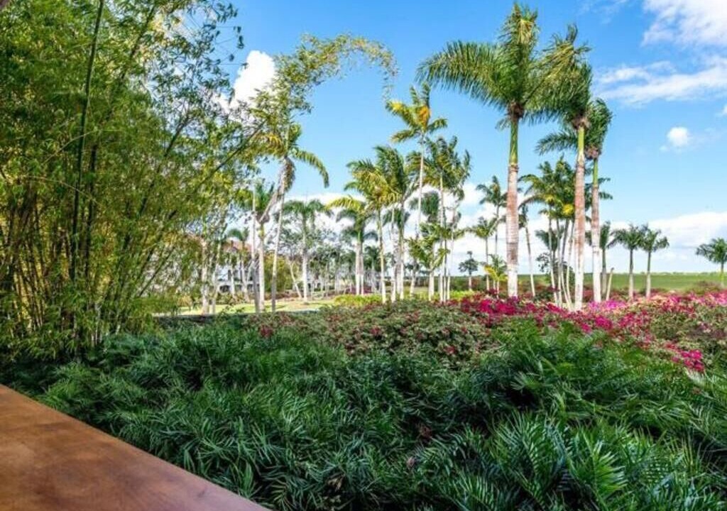 Photo of Outdoor in Los Altos