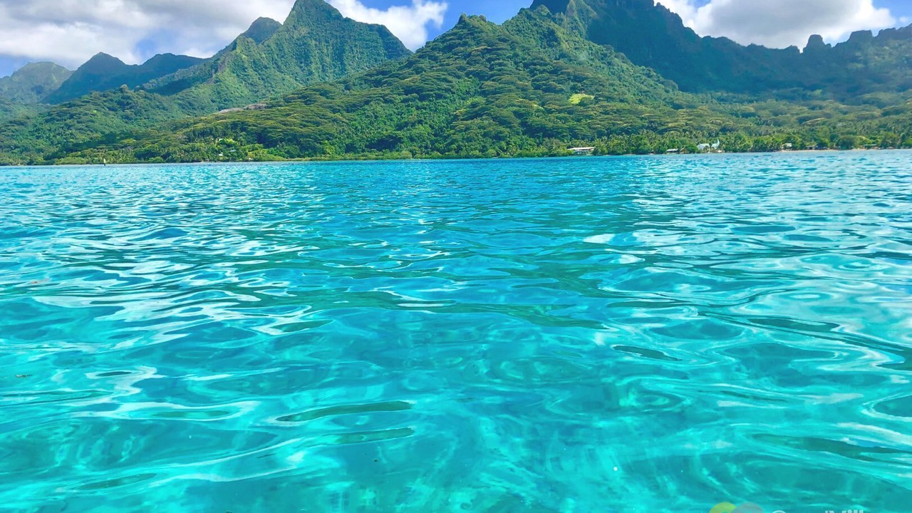 Photo of Others in Moorea-Maiao