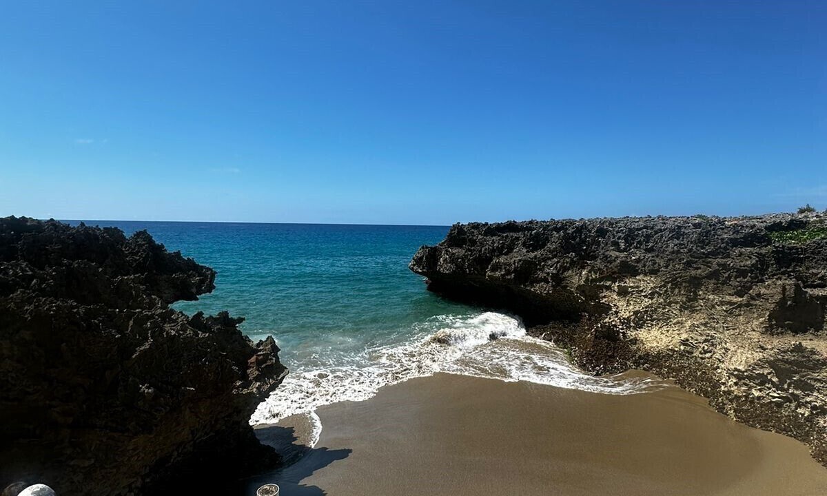 Photo of Others in Playa Chiquita