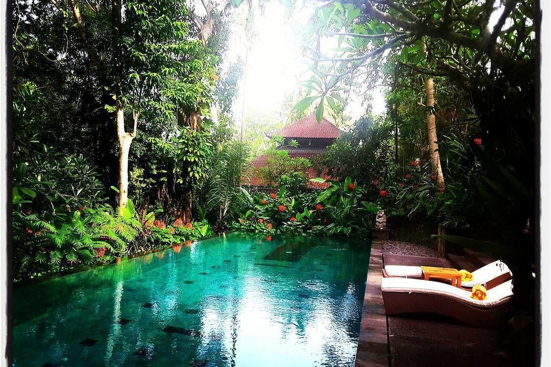 Photo of Outdoor in Nyuh Kuning