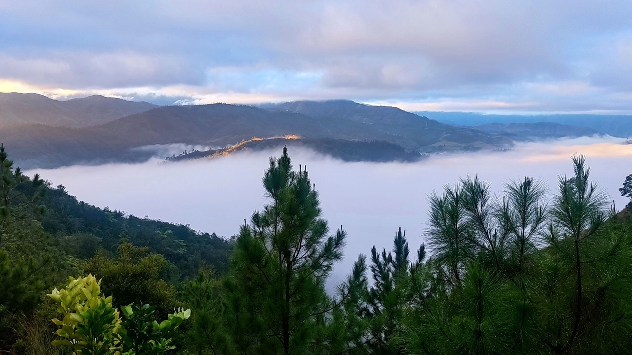 Photo of Outdoor in Constanza