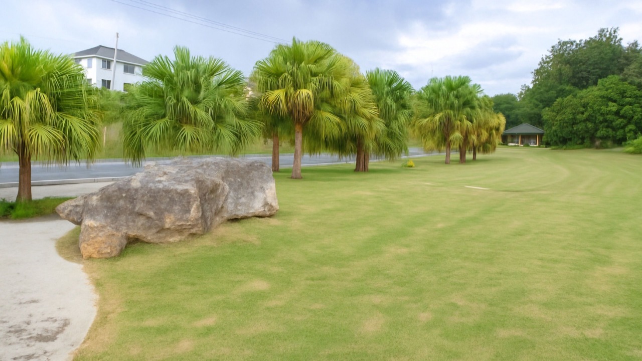 Photo of Outdoor in Cerros de Arroyo Hondo III