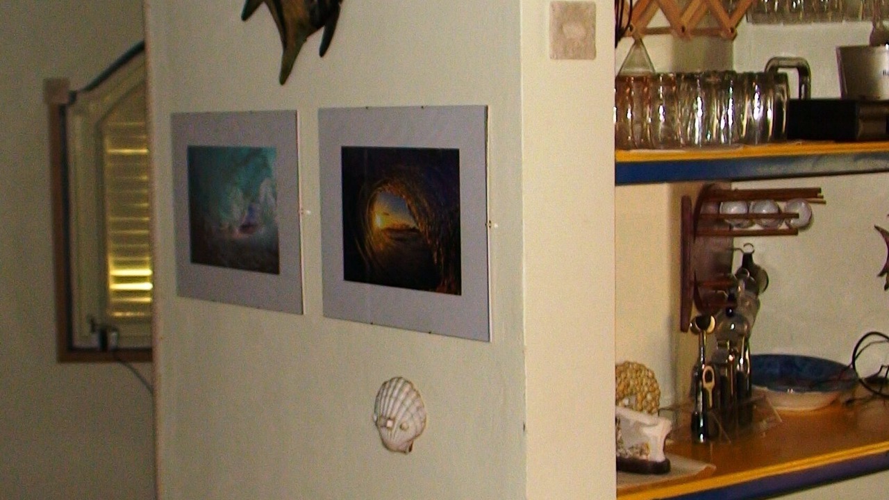 Photo of Others in Puerto Bahia
