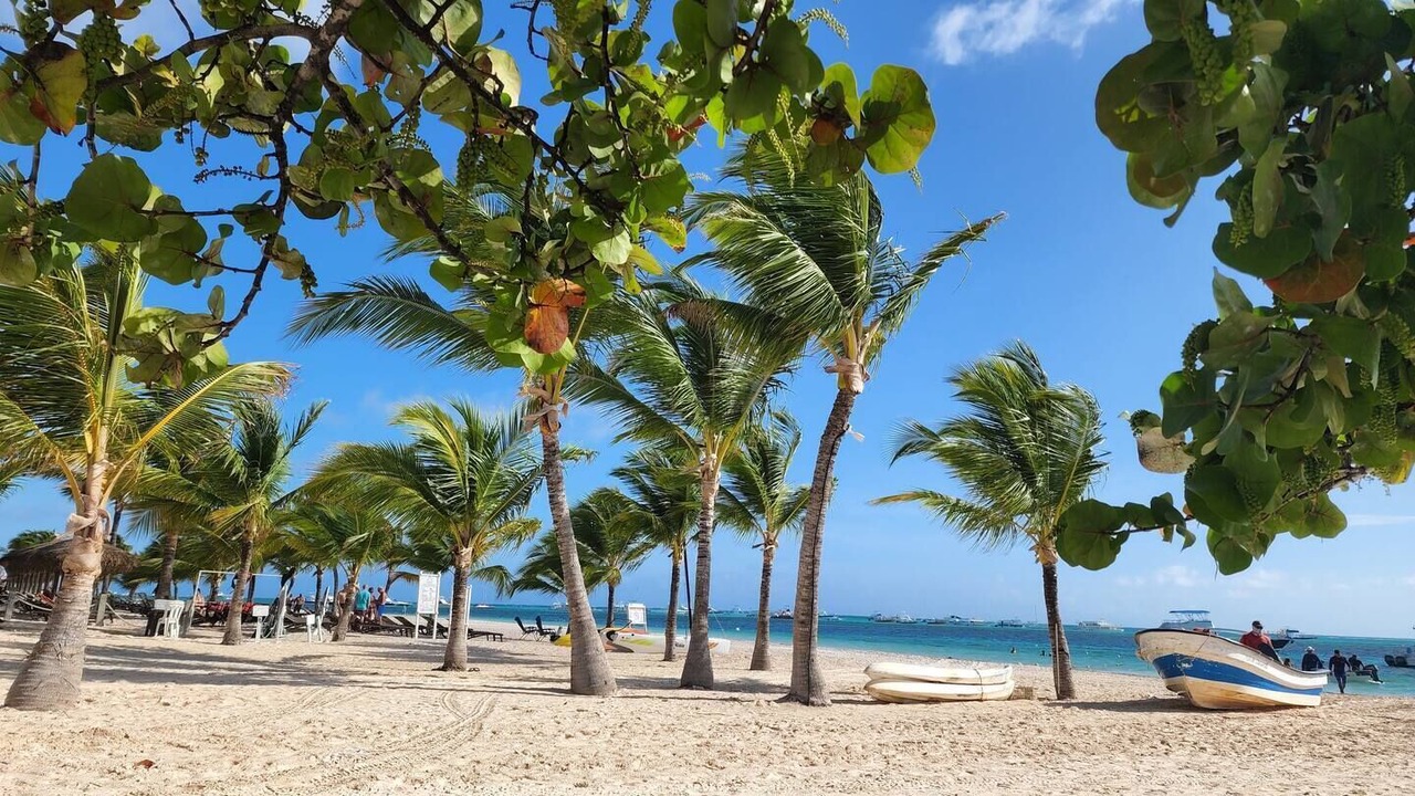 Photo of Others in Playa Bibijagua