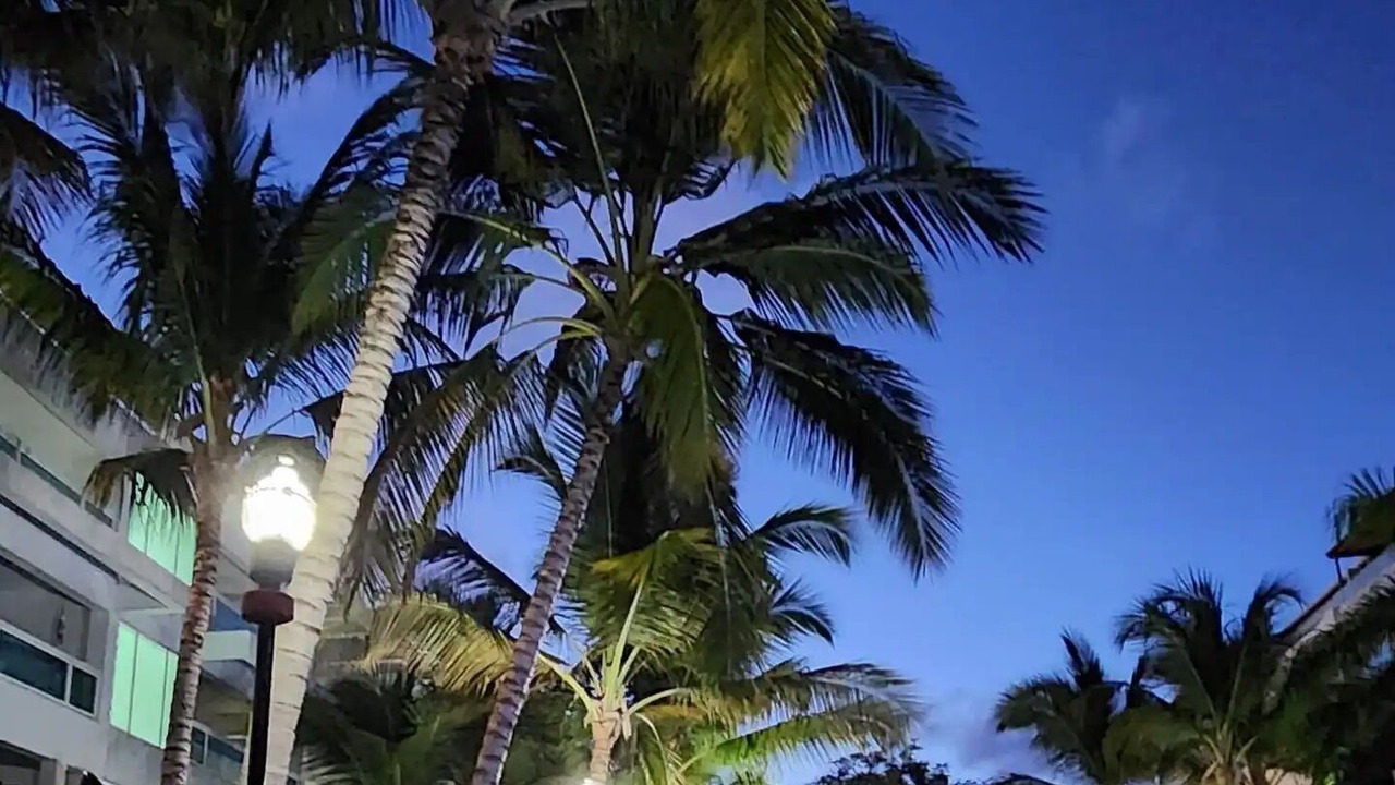 Photo of Outdoor in Playa Bibijagua