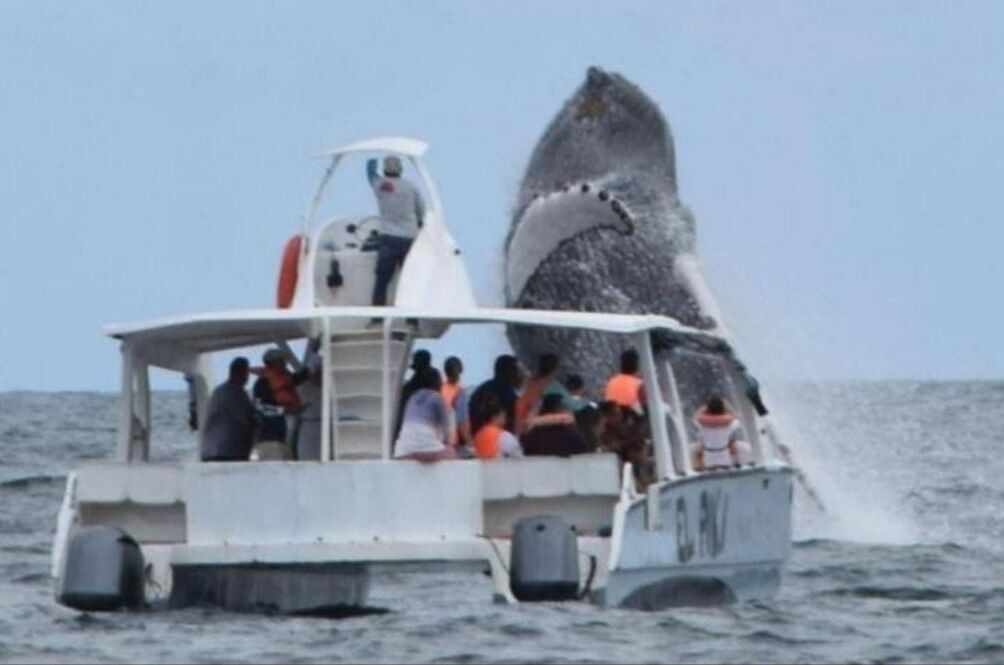 Photo of Others in Samana