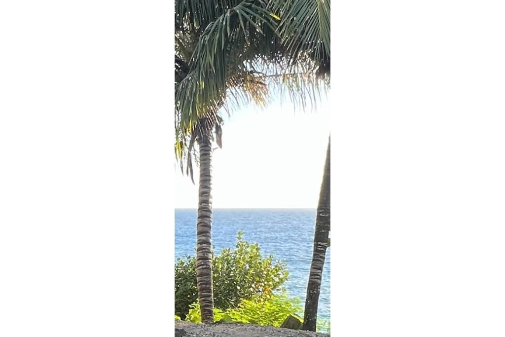 Photo of Outdoor in Ensanche Isabelita