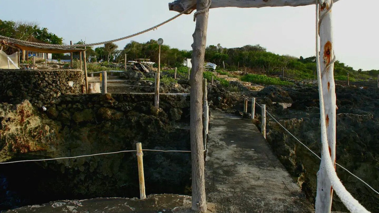 Photo of Outdoor in North Coast