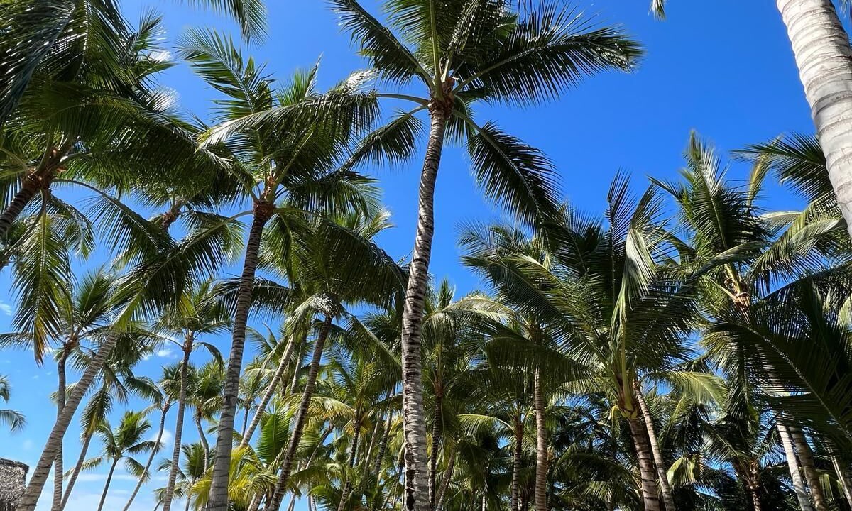 Photo of Outdoor in La Isabelita