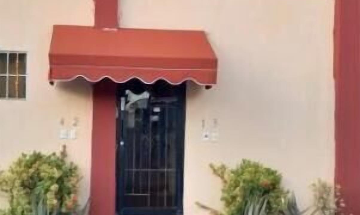 Photo of Outdoor in La Isabelita