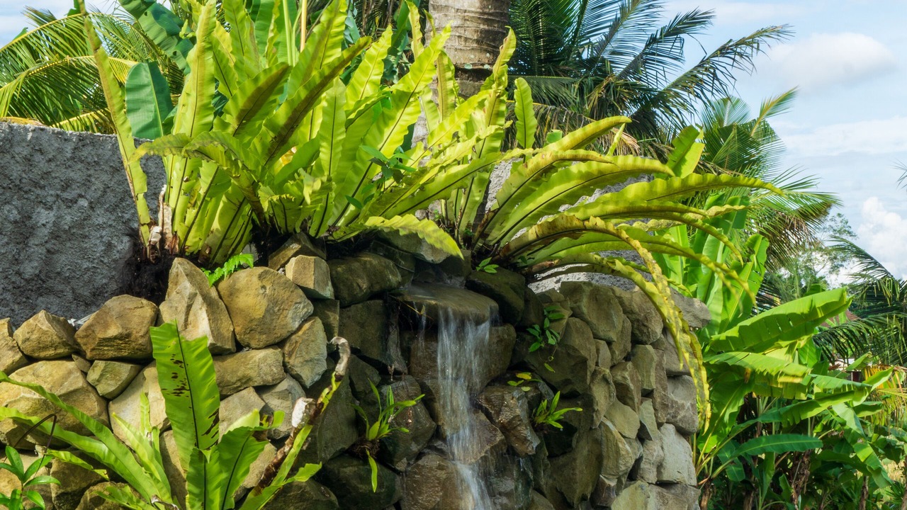 Photo of Outdoor in Sayan