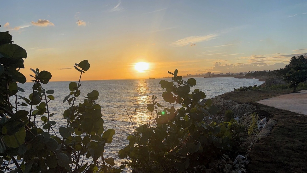 Photo of Others in Tropical del Este