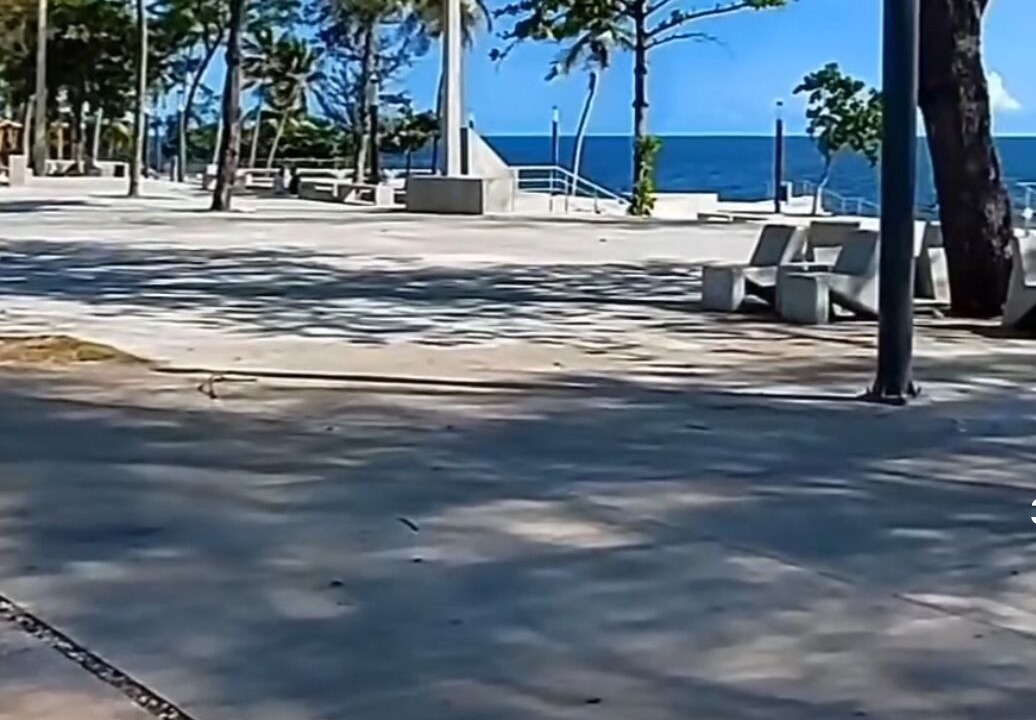 Photo of Others in Tropical del Este