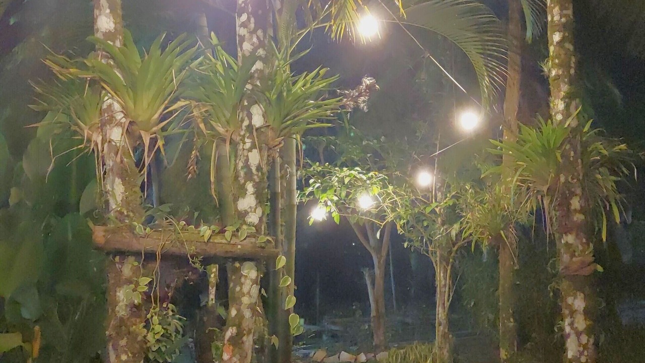 Photo of Outdoor in Los Cacaos