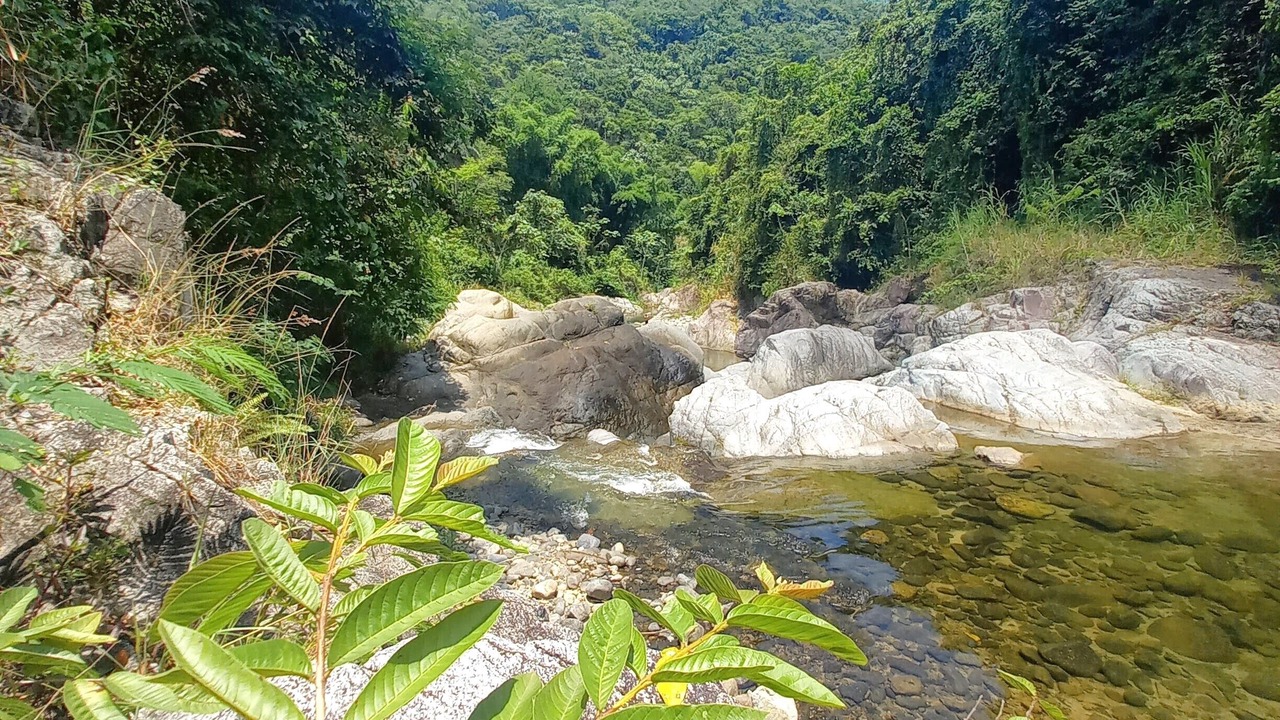 Photo of Others in Los Cacaos