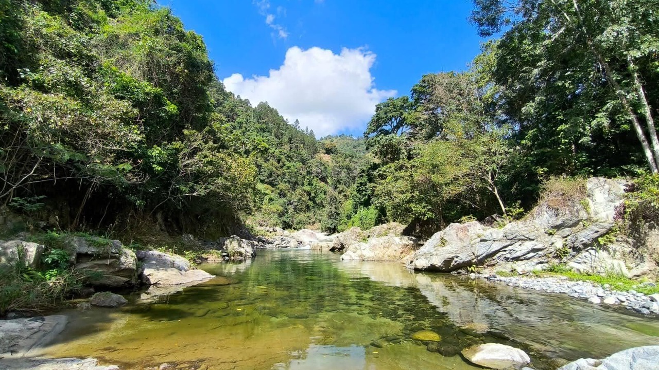 Photo of Others in Los Cacaos