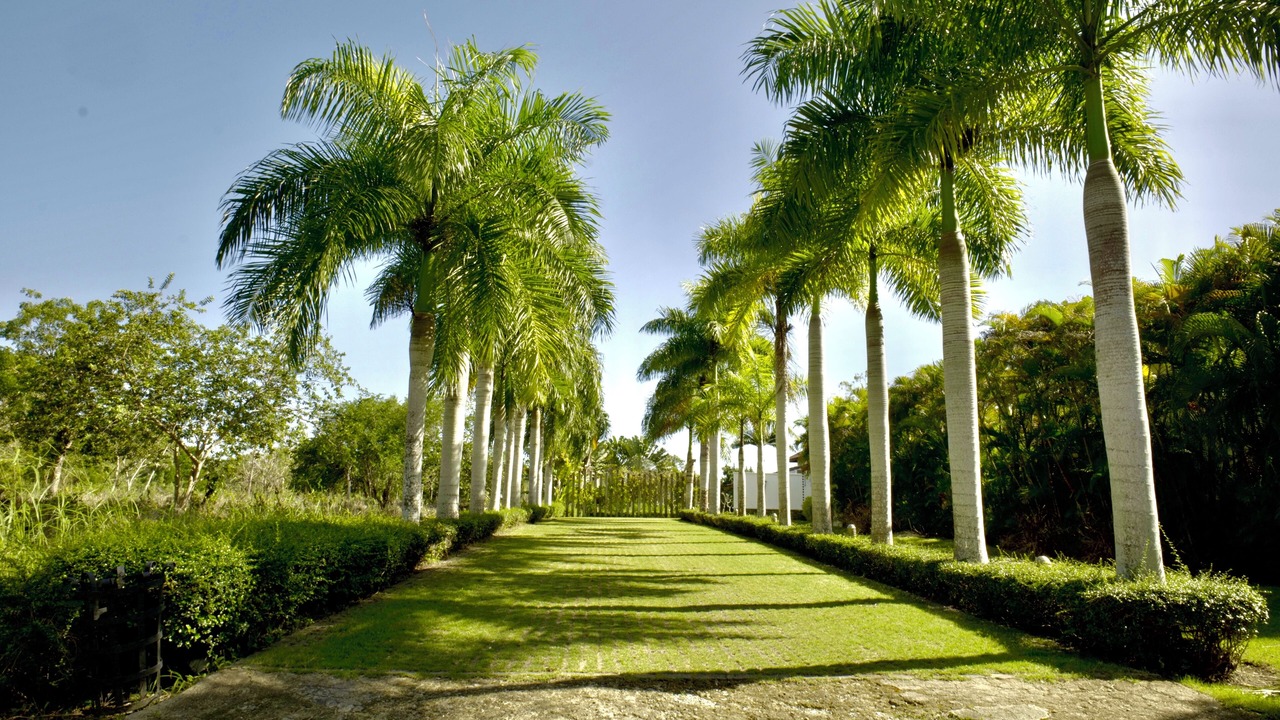Photo of Others in Guayacanes