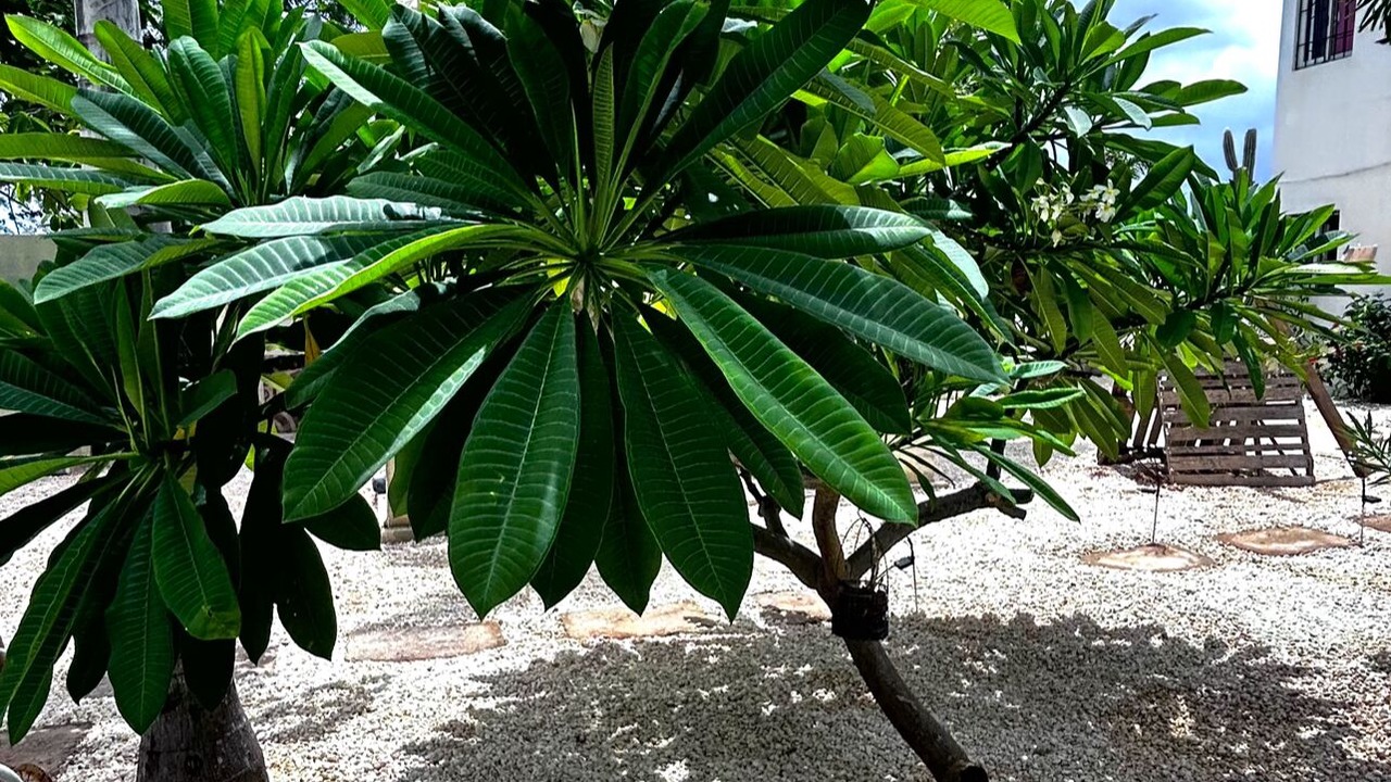Photo of Outdoor in Villa Hermosa