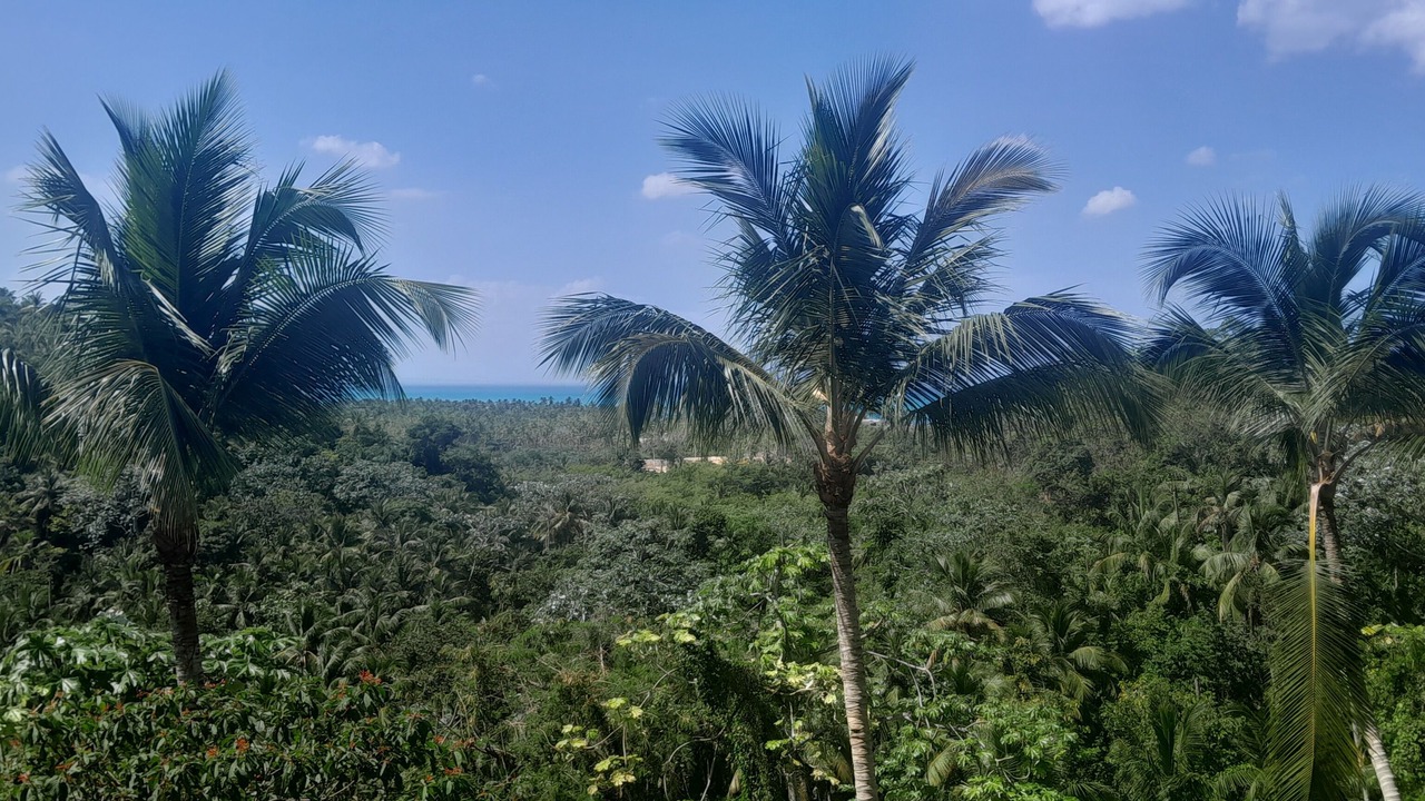 Photo of Others in Las Terrenas