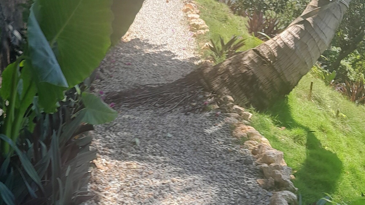 Photo of Outdoor in Las Terrenas