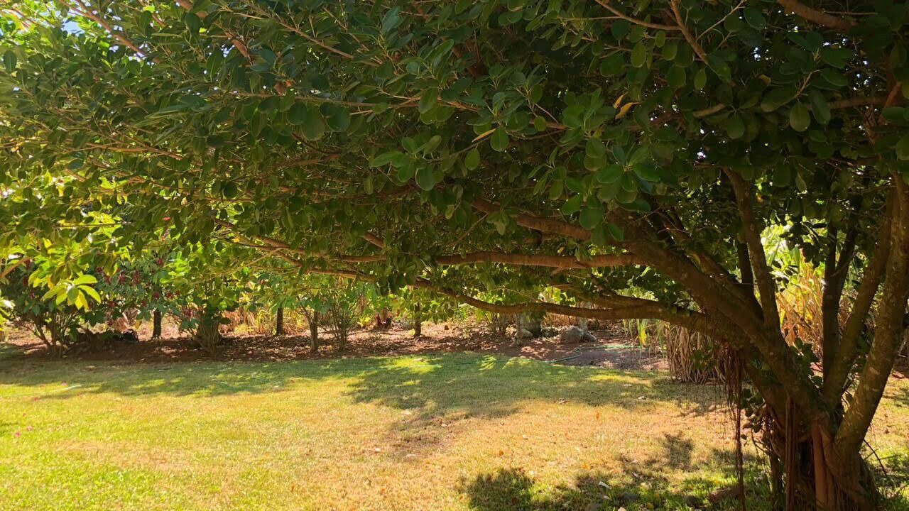 Photo of Outdoor in La Vega Province