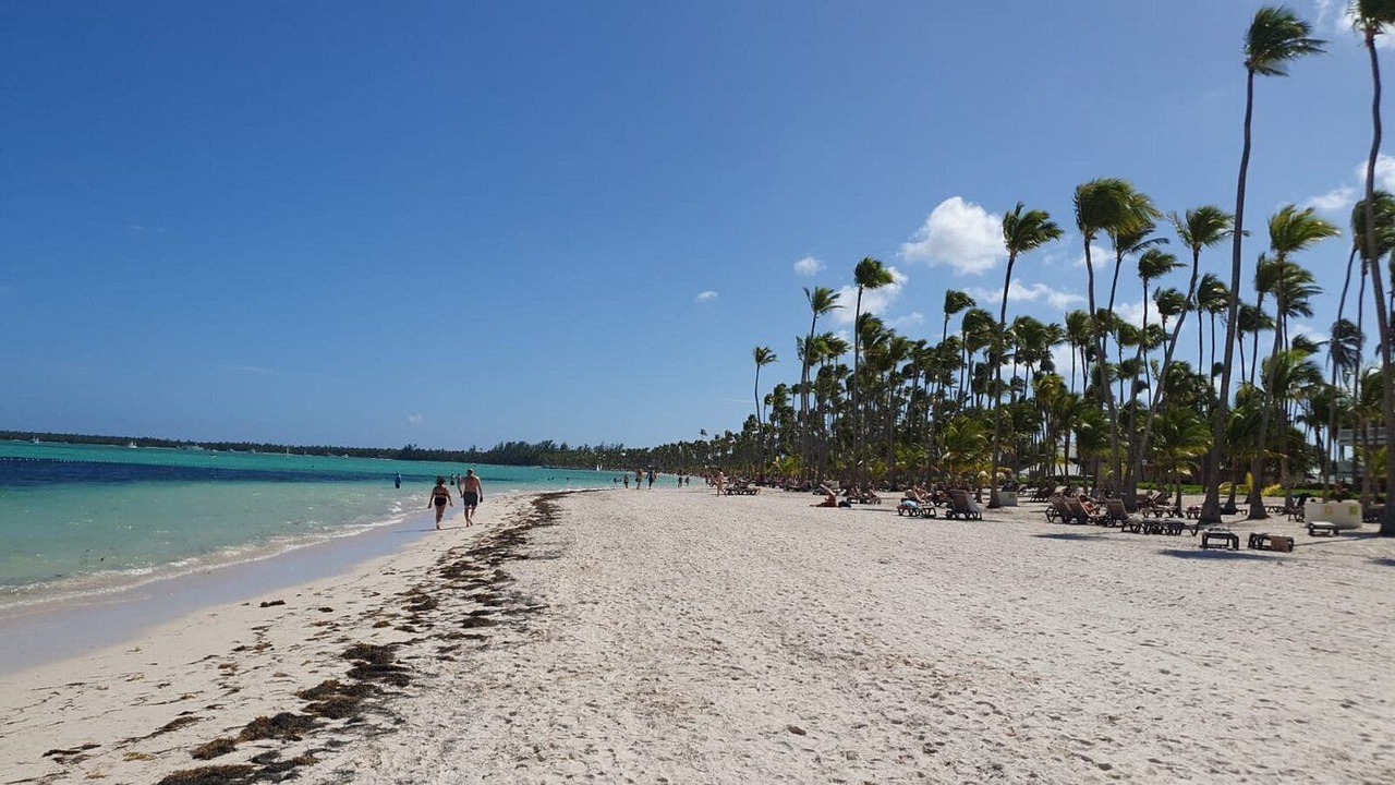 Photo of Others in Playa Bibijagua