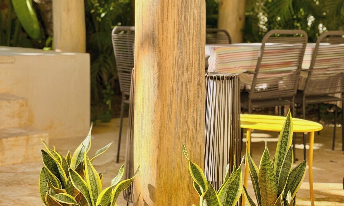 Photo of Outdoor in La Ceiba