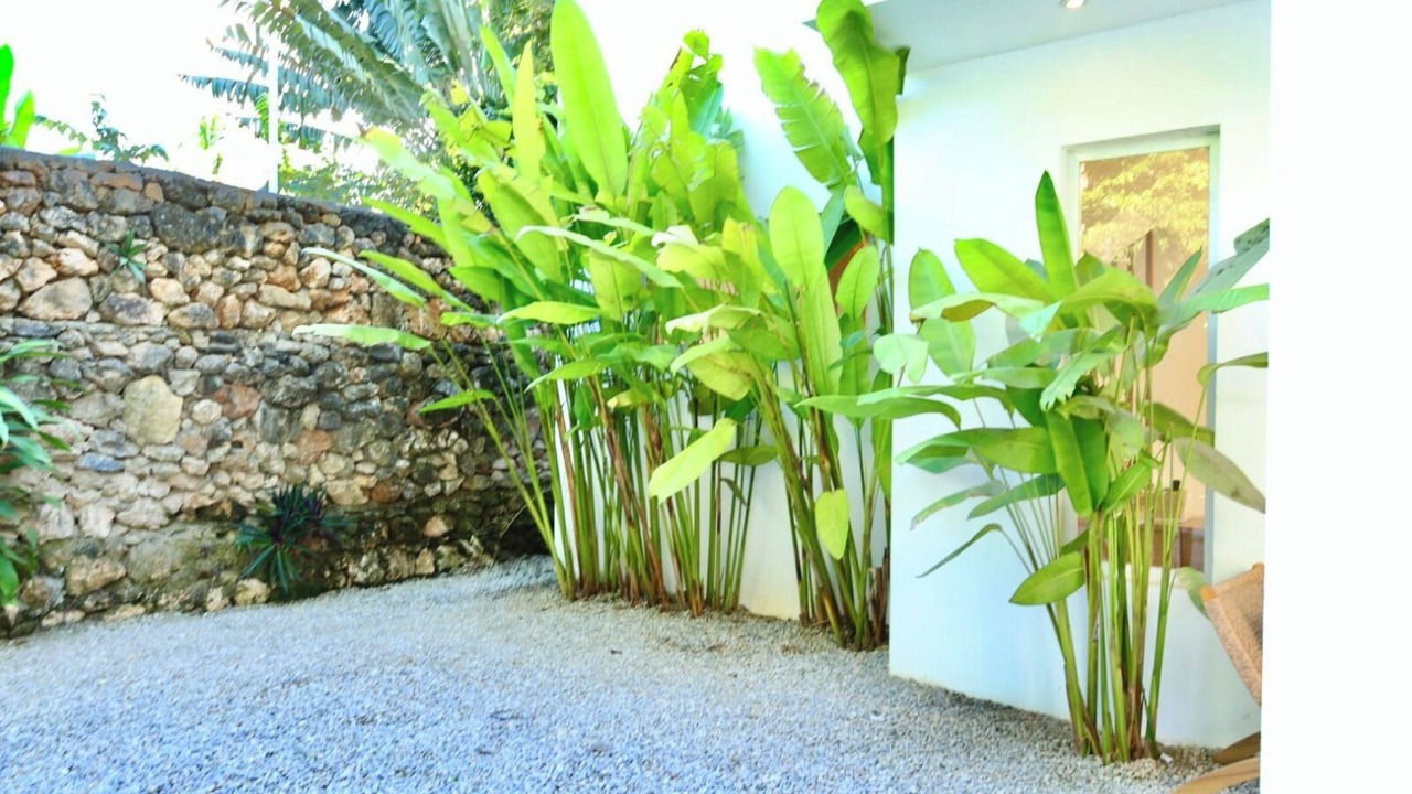 Photo of Outdoor in La Ceiba