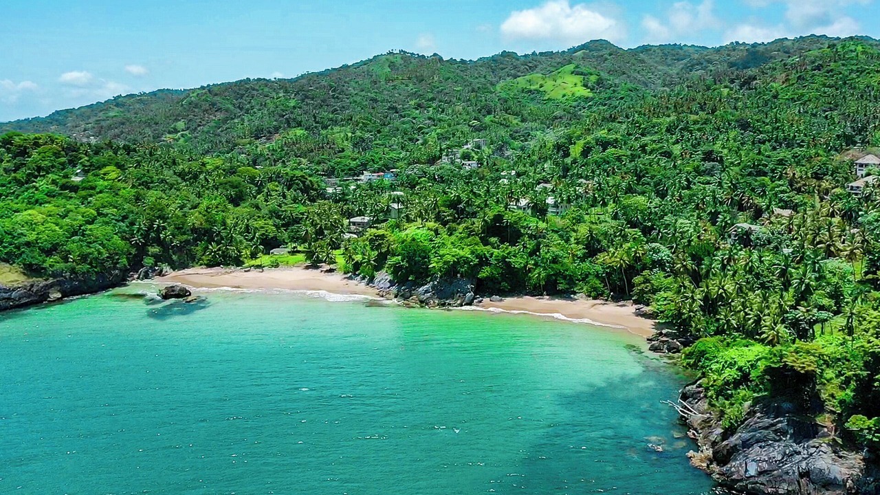 Photo of Others in Samana