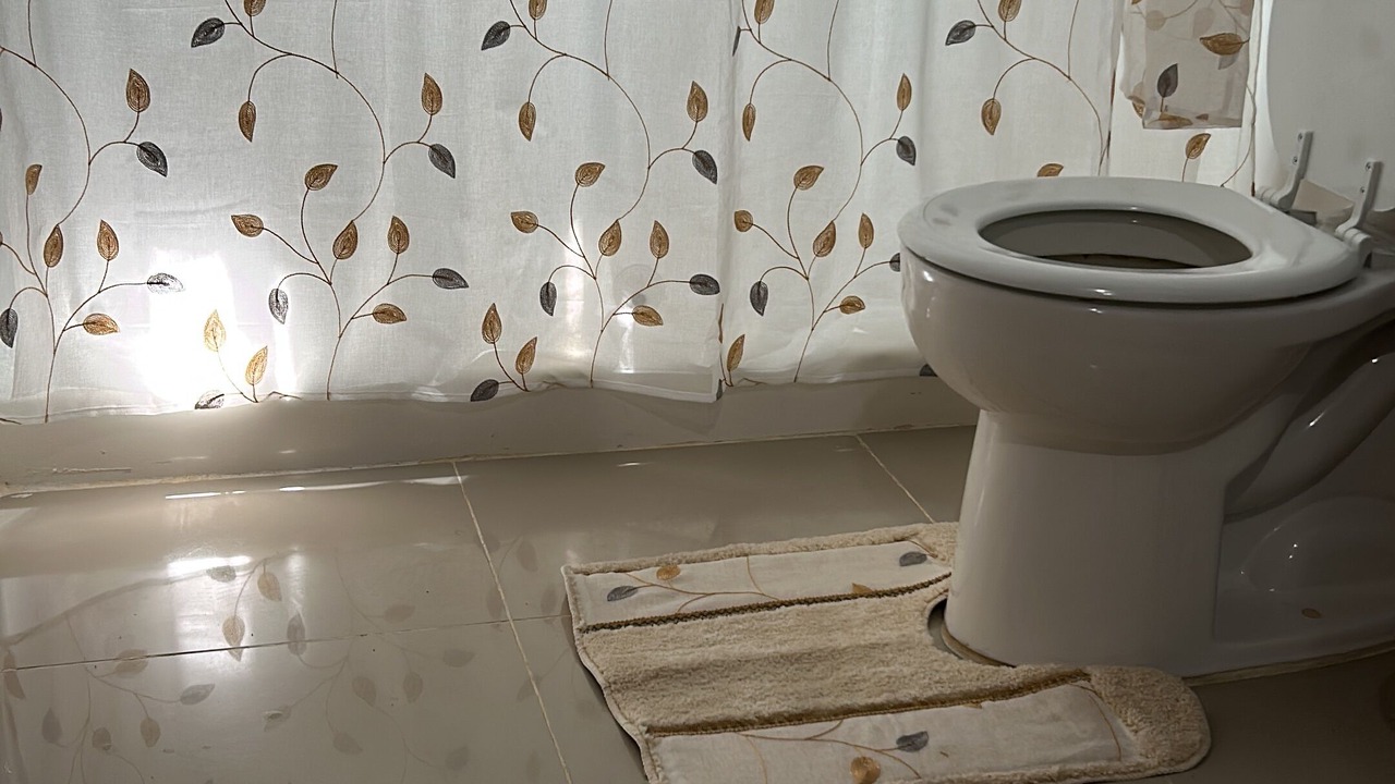 Photo of Bathroom in Santiago Province