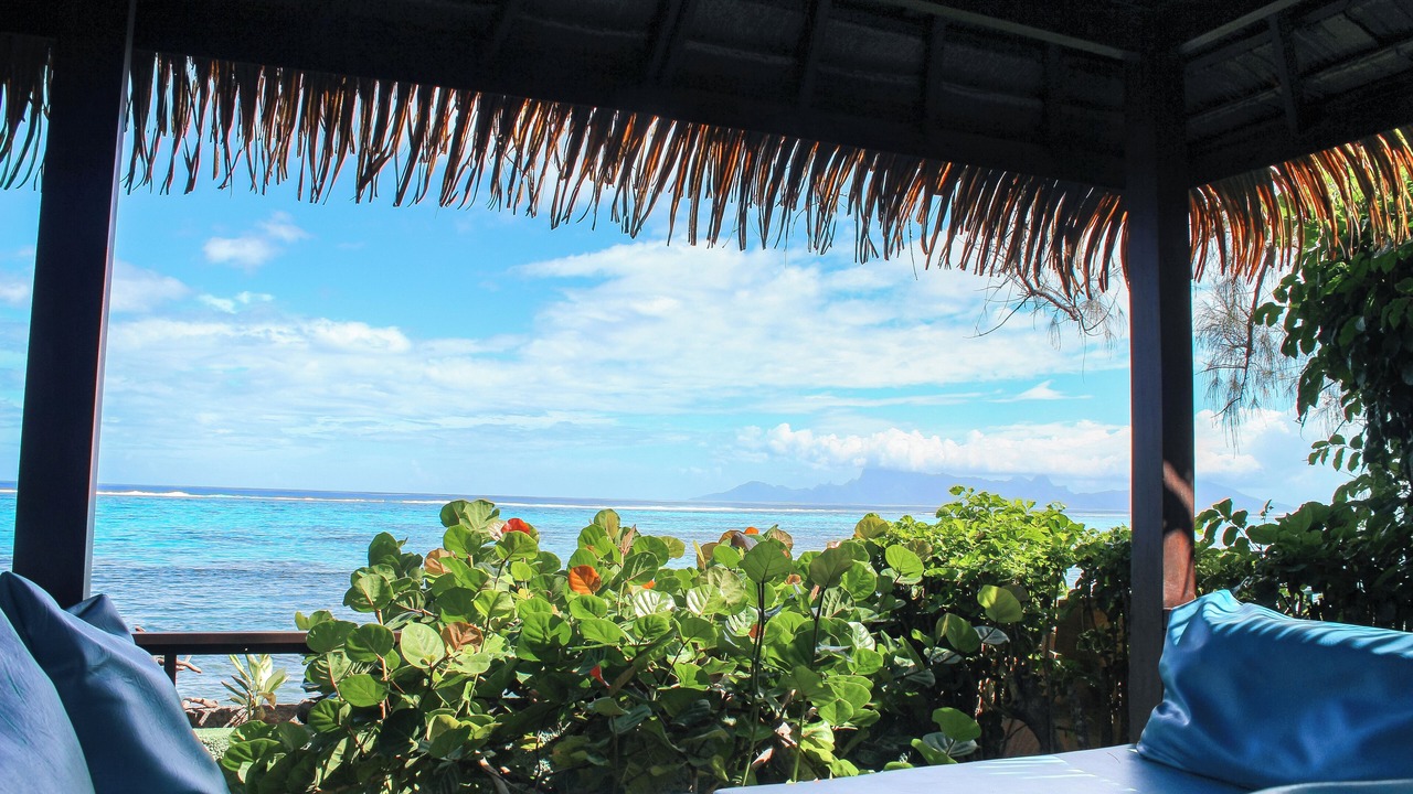 Photo of Outdoor in Punaauia