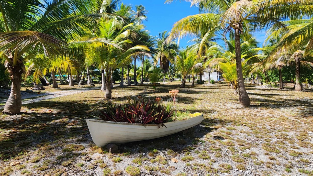 Photo of Outdoor in Manihi