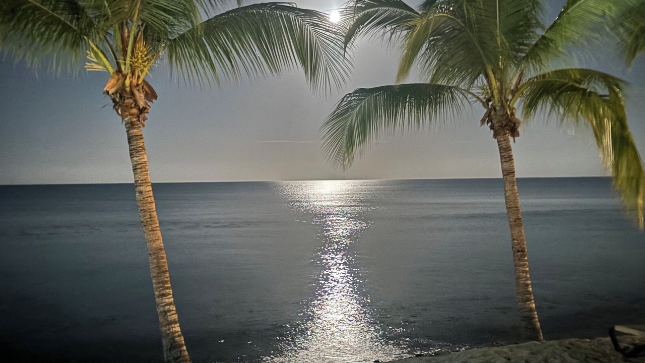 Photo of Others in Dominicus