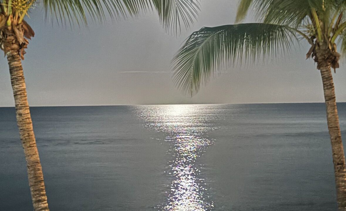 Photo of Others in Dominicus