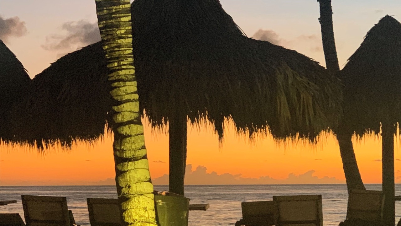 Photo of Others in Dominicus