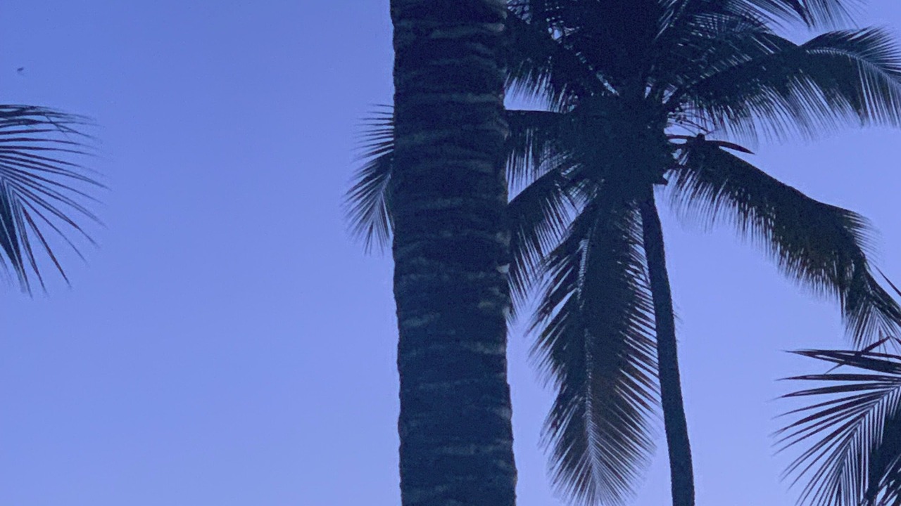 Photo of Others in Dominicus