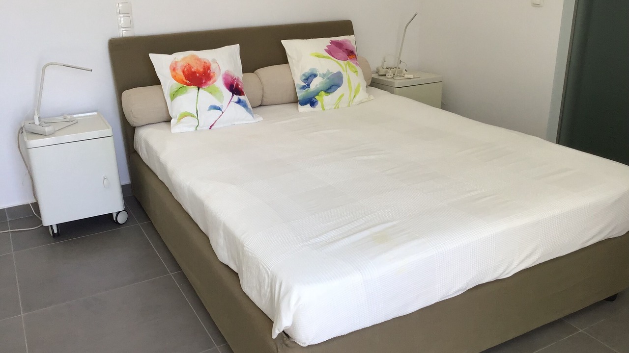 Photo of Bedroom in Paleopolis