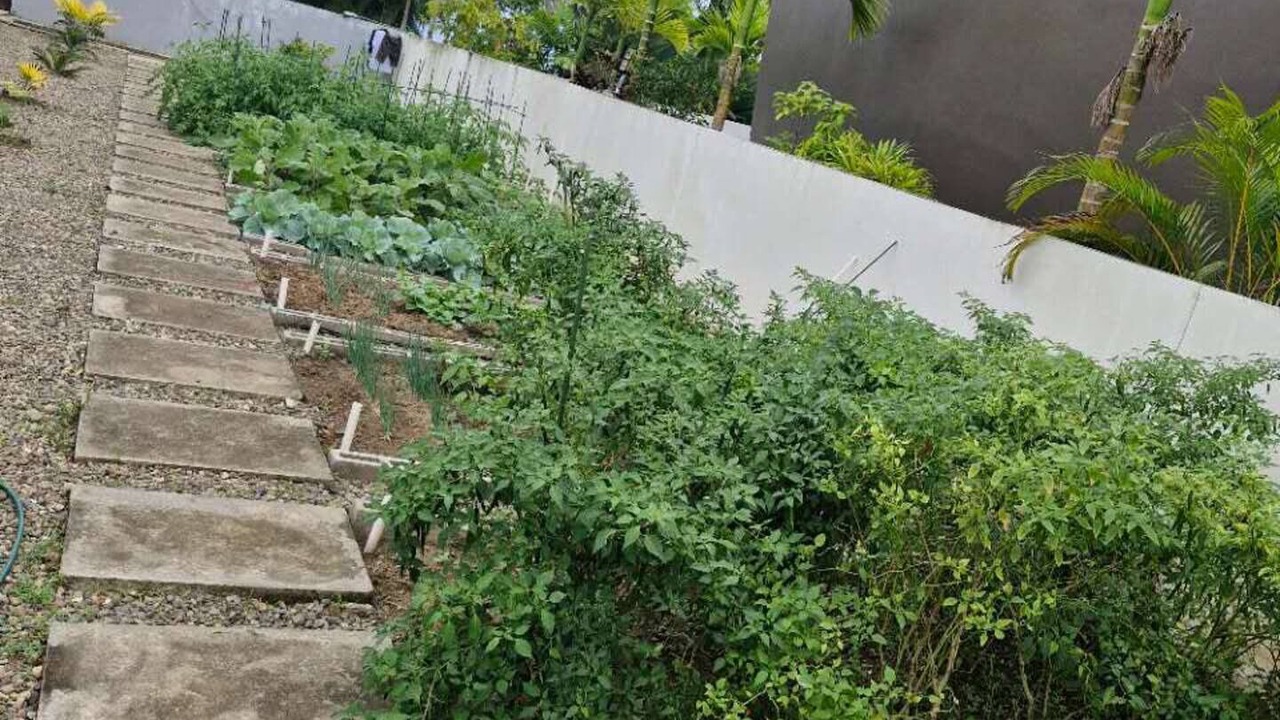 Photo of Outdoor in Nadi