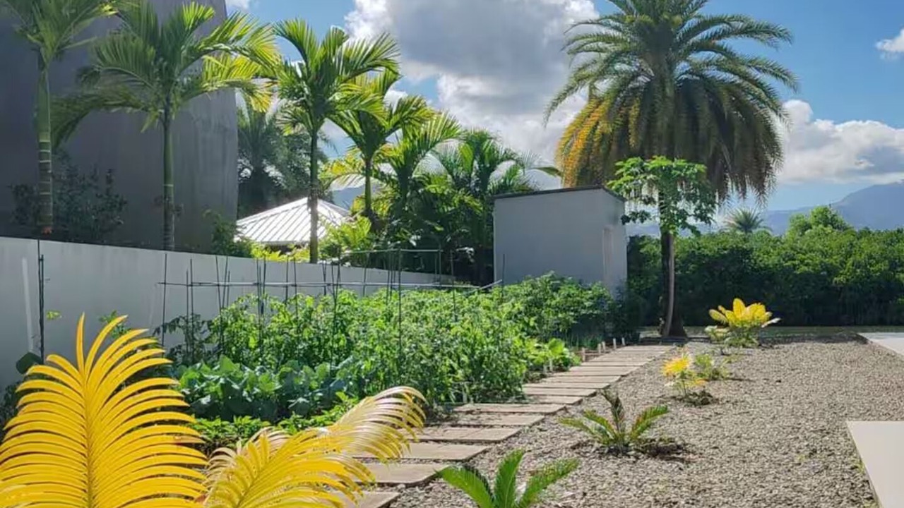 Photo of Outdoor in Nadi