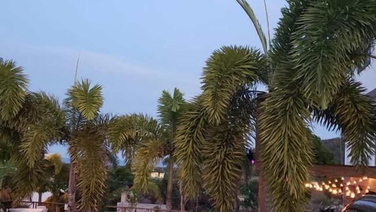 Photo of Outdoor in Punta Rucia