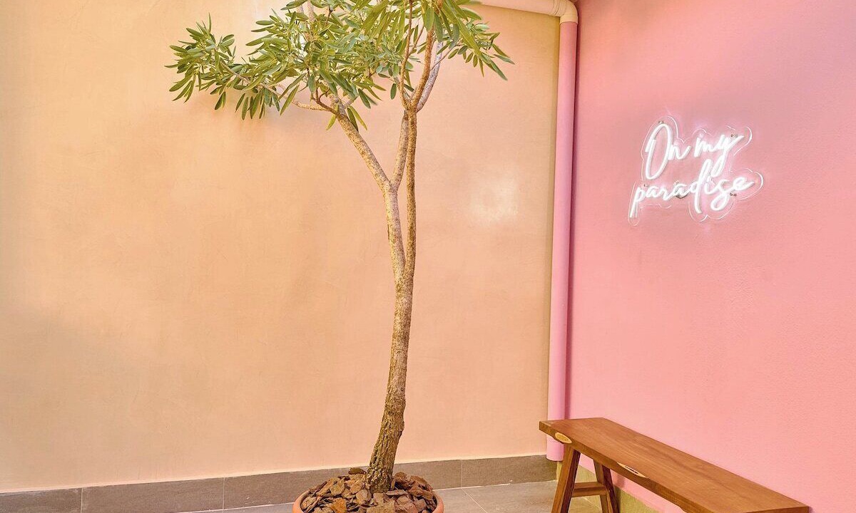 Photo of Outdoor in La Julia