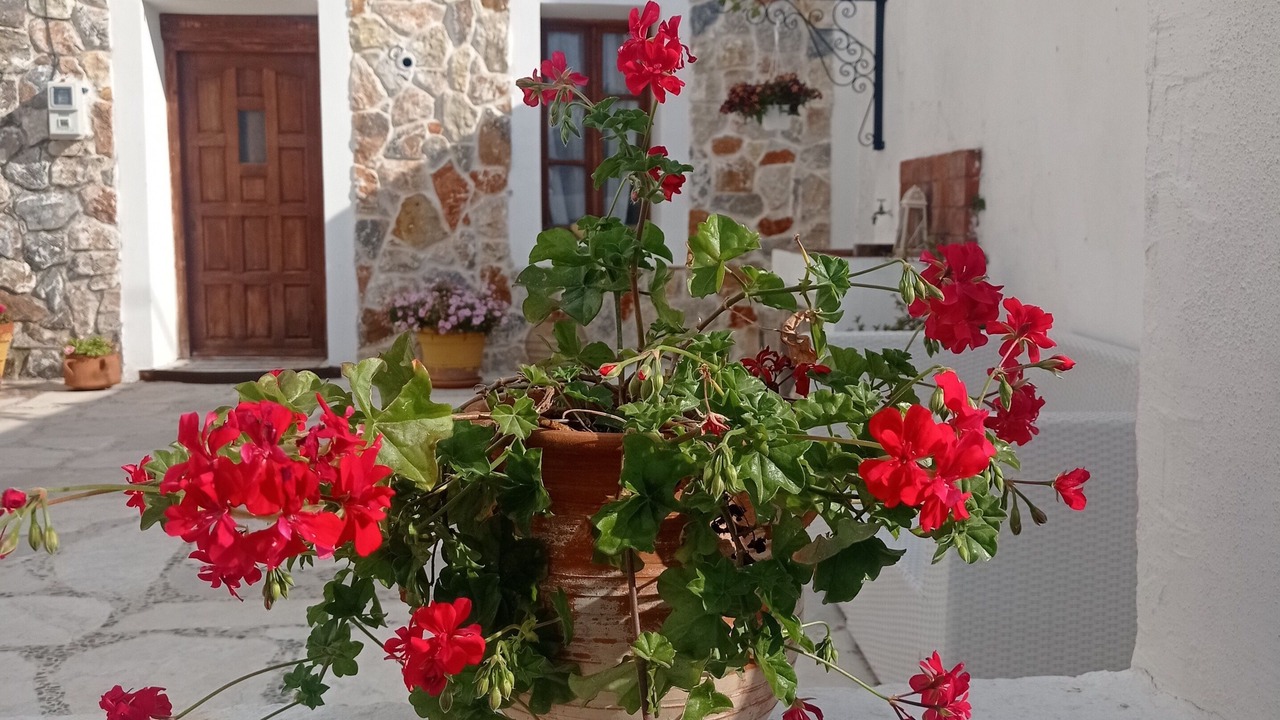 Photo of Outdoor in Embonas