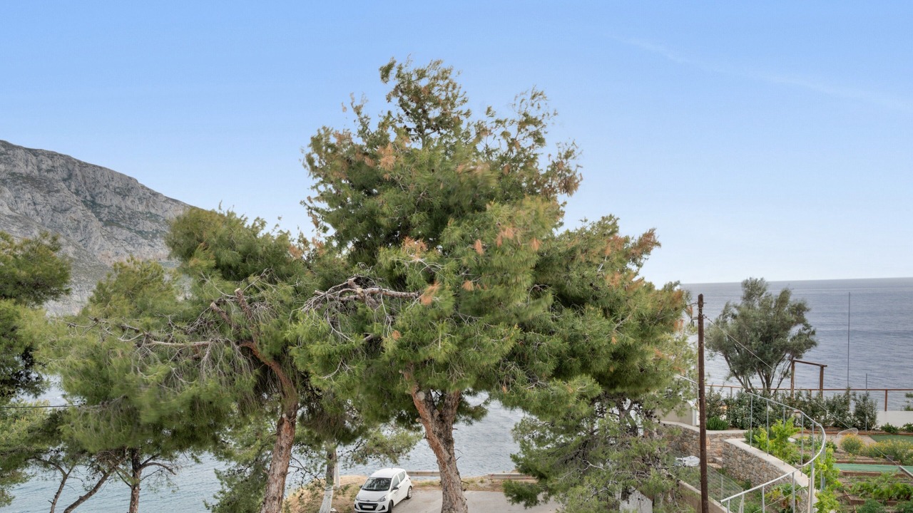 Photo of Others in Panormos