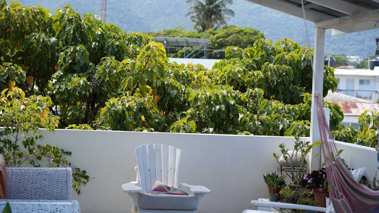 Photo of Patio Balcony in Los Brazos